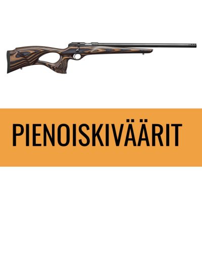 Pienoiskiväärit