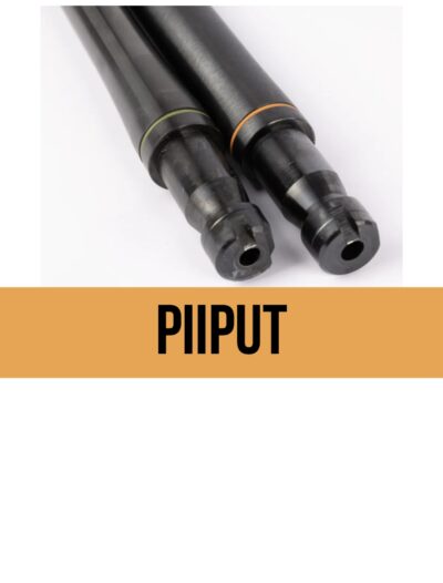 Piiput